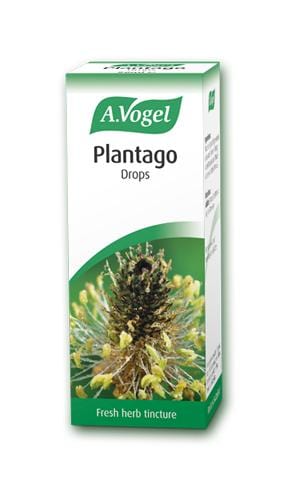 A. Vogel Plantago, 50ml