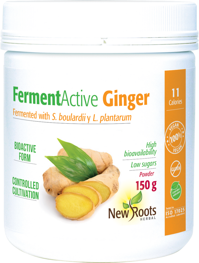 A close-up image of New Roots Herbal Ferment Active Ginger Powder in a 150g package, showcasing the fermented ginger product used as a dietary supplement, highlighting its natural fermentation process and suitability for adding to smoothies, teas, soups, stews, or baked goods for enhanced flavour and nutritional benefits