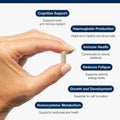 Metagenics Iron Bisglcinate, 60 Capsules