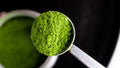 OMG Tea Matcha AAA Grade Gift Set, 30gr