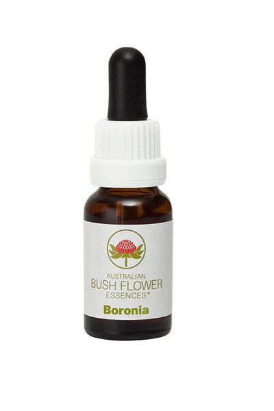 A 15ml bottle of Australian Bush Flower Boronia essence, used for clarity and focus