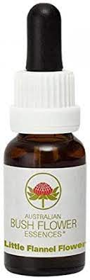 Australian Bush Flower Little Flannel Flower, 15ml