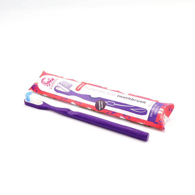 Lamazuna Toothbrush Medium, Purple