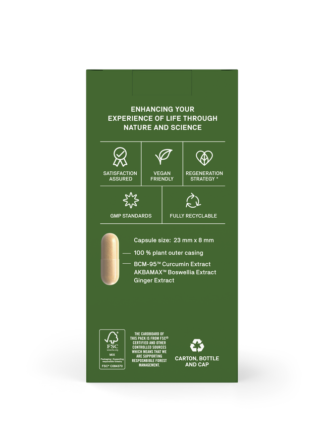 Natroceutics  Natro-Curcumin Fortified,  60 VCapsules
