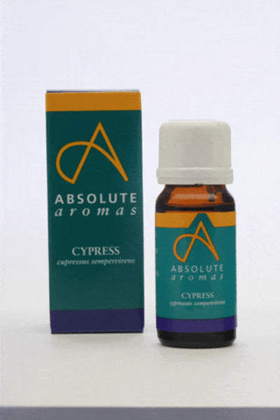 Absolute Aromas Cypress, 10ml