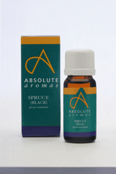 Absolute Aromas Spruce Black, 10ml