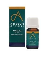 Absolute Aromas Angelica Root, 2ml
