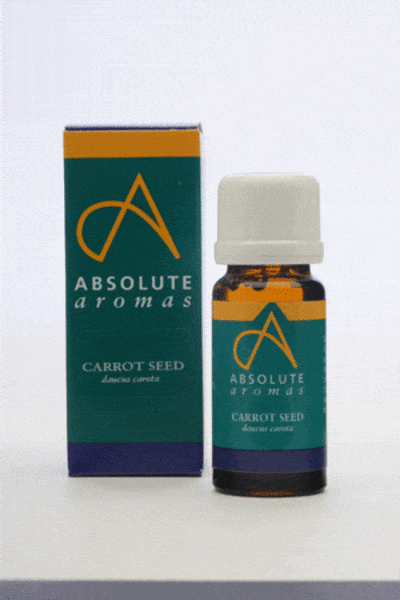 Absolute Aromas Carrot Seed, 10ml