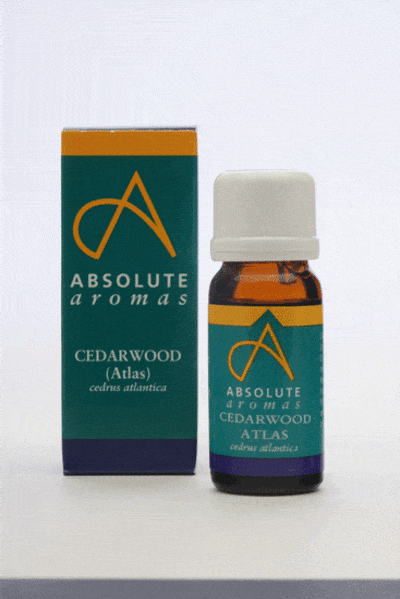 Absolute Aromas Cedarwood Atlas, 10ml