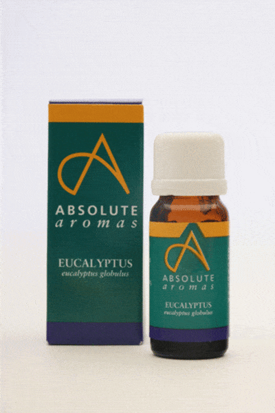 Absolute Aromas Organic Eucalyptus Globulus, 10ml