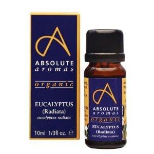 Absolute Aromas Organic Eucalyptus Radiata, 10ml
