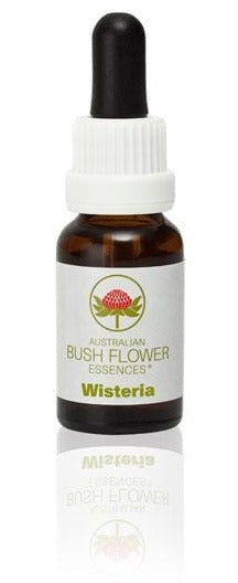 Australian Bush Flower Wisteria, 15ml
