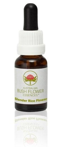 Australian Bush Flower Slender Rice Flower, 15ml