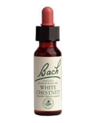A 20ml bottle of Bach Original Flower Remedies Wild Oat, containing plant-based flower essences for emotional wellbeing, with detailed product label and packaging