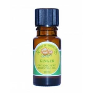 Natural By Nature Organic Ginger, 10ml, Organic