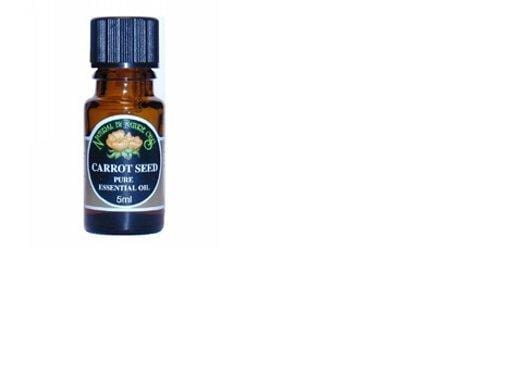 Natural By Nature Carrot Seed, 5ml