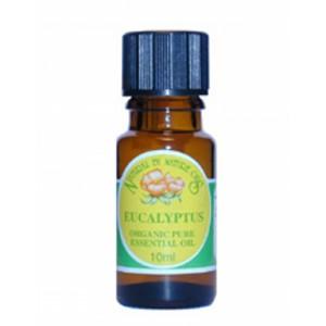 Natural By Nature Organic Eucalyptus, 10ml